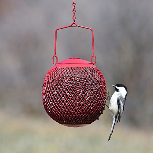 Perky-Pet RSB00343 Red Seed Ball Wild Bird Feeder