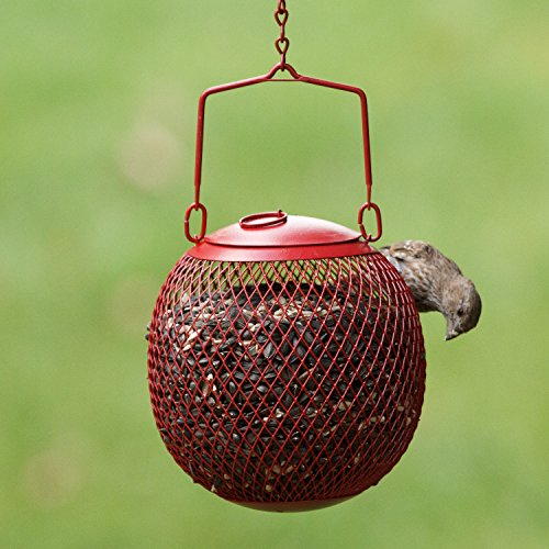 Perky-Pet RSB00343 Red Seed Ball Wild Bird Feeder