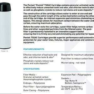 Pentair Pentek TSGAC-10 Carbon Water Filter, 10-Inch, Under Sink Specialty Granular Activated Carbon (GAC) and Phosphate Crystal Replacement Cartridge, 10" x 2.5"