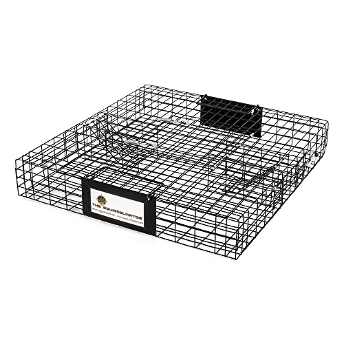 Rugged Ranch Squirrelinator 2 Door Small Metal Wire Pest Control Animal Cage Trap for Live Chipmunk, Squirrel, Rat, Mouse, and Rodent, Black