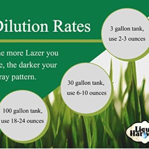 Liquid Harvest Lazer Green Concentrated Spray Pattern Indicator - 1 Gallon (128 Ounces) - Perfect Weed Spray Dye, Herbicide Dye, Fertilizer Marking Dye, Turf Marker and Herbicide Marker