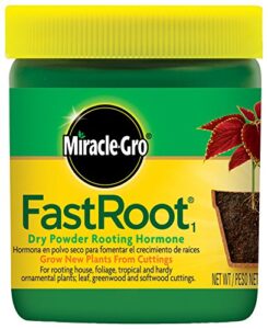 miracle-gro fastroot1 dry powder rooting hormone: houseplant and succulent propagation, for rooting house, foliage, tropical, and hardy ornamental plants, 1.25 oz