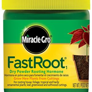 Miracle-Gro FastRoot1 Dry Powder Rooting Hormone: Houseplant and Succulent Propagation, for Rooting House, Foliage, Tropical, and Hardy Ornamental Plants, 1.25 oz