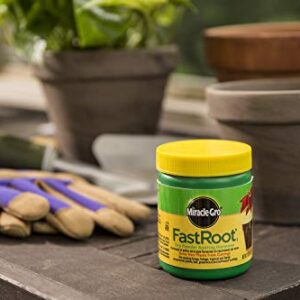 Miracle-Gro FastRoot1 Dry Powder Rooting Hormone: Houseplant and Succulent Propagation, for Rooting House, Foliage, Tropical, and Hardy Ornamental Plants, 1.25 oz