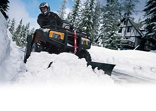 WARN 84600 ProVantage ATV Electric Plow Lift , Black