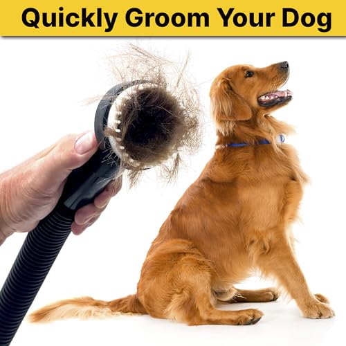 Shop-Vac 9190400 1.1/4-Inch Dog Grooming Tool,Black