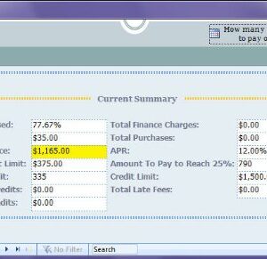 Credit Management Database