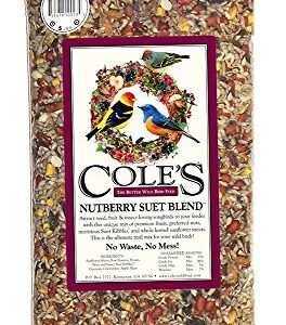 Cole's NB05 Nutberry Suet Blend Bird Seed, 5-Pound