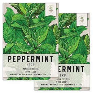 seed needs, peppermint seeds - 1,000 heirloom seeds for planting mentha piperita - non-gmo, & untreated - great for pots & containers (2 packs)