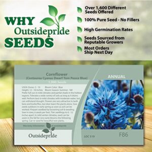 Outsidepride Centaurea Cyanus Cornflower Blue Wild Flower Seeds - 1000 Seeds