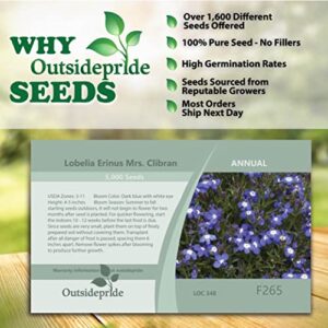 Outsidepride Lobelia Mrs. Clibran for Edging Borders, Rock Gardens, Hanging Baskets, Window Boxes, & Ground Cover - 5000 Seeds