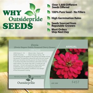 Outsidepride Zinnia Elegans Dahlia Cherry Heat & Drought Tolerant Garden Cut Flowers - 1000 Seeds
