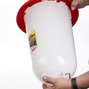 Plastic Poultry Drinker (3 Gallon) - Little Giant - Heavy Duty Plastic Gravity Fed Water Container Jar (Red) (Item No. 7906)