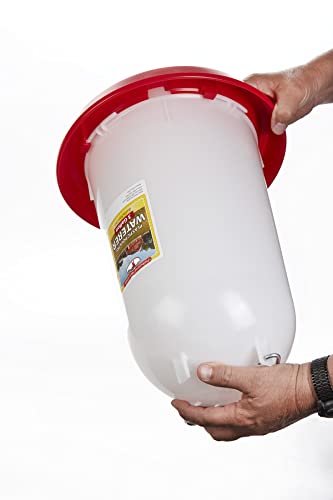 Plastic Poultry Drinker (3 Gallon) - Little Giant - Heavy Duty Plastic Gravity Fed Water Container Jar (Red) (Item No. 7906)