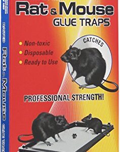 PIC Baited Rat & Mouse Glue Traps, 2 Count (Pack of 12)