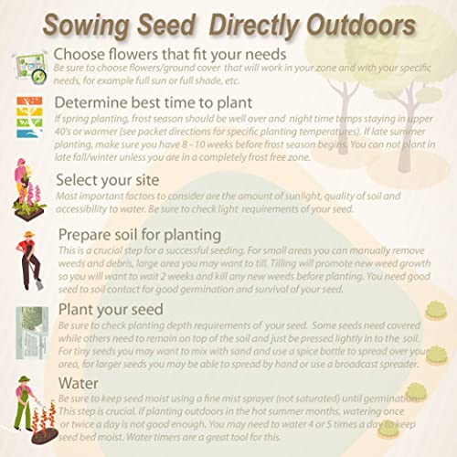 Outsidepride Perennial Sedum Acre Heat & Drought Tolerant, Succulent, Stonecrop Ground Cover Plants - 5000 Seeds