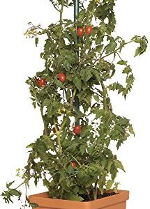 Hydrofarm GCTT Tomato 3-Foot Tree Tower, Orange and Green