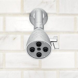 Speakman Z6000-YB-YC S-2253 Classic Anystream High Pressure Adjustable Shower Head, Polished Chrome, 2.5 GPM