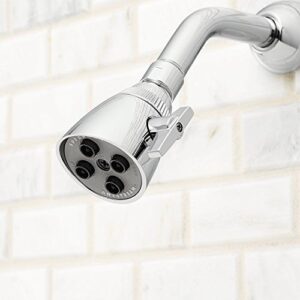 Speakman Z6000-YB-YC S-2253 Classic Anystream High Pressure Adjustable Shower Head, Polished Chrome, 2.5 GPM