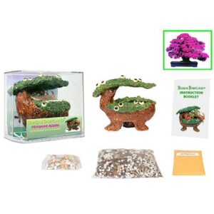 Eve's Bonsai Babyland Miniature Azalea Seed Kit, Complete Kit to Grow Azalea Bonsai Trees from Seed, Unique and Exclusive Bonsai Babyland Planter