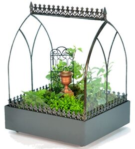 h potter terrarium wardian case glass succulent plant container planter war142