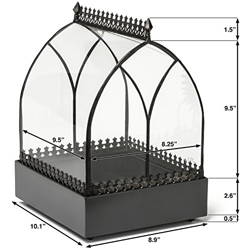 H Potter Terrarium Wardian Case Glass Succulent Plant Container Planter WAR142