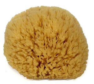 natural sea sponge 6-7" by spa destinations "creating the at-home spa experience"