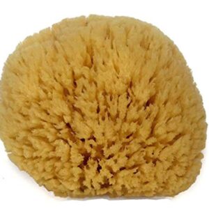 Natural Sea Sponge 6-7" by Spa Destinations "Creating The At-Home Spa Experience"