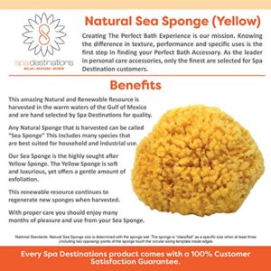 Natural Sea Sponge 6-7" by Spa Destinations "Creating The At-Home Spa Experience"