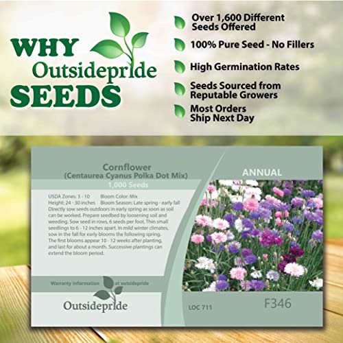 Outsidepride Centaurea Cyanus Cornflower Polka Dot Wild Flower Seeds - 1000 Seeds
