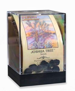 joshua tree incubator set
