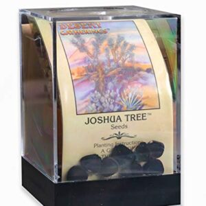 Joshua Tree Incubator Set