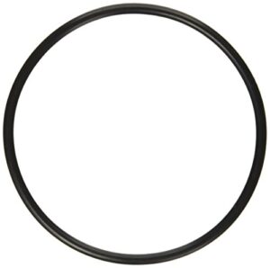 pentair 272541 o-ring replacement pool/spa filter and valve, black