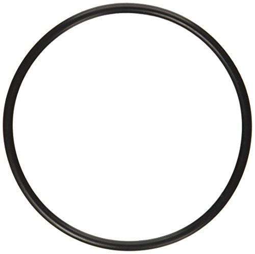 Pentair 272541 O-Ring Replacement Pool/Spa Filter and Valve, Black