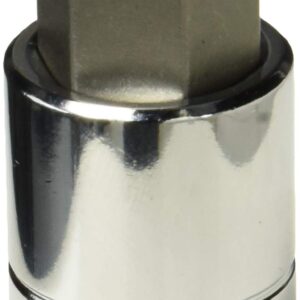 Titan Tools - 1/2 Dr. 19Mm Hex Bit Socket (15619)