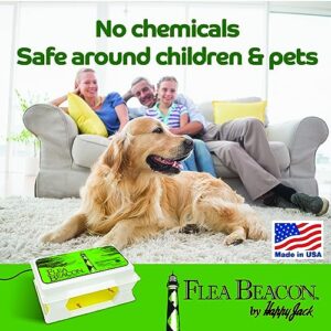 Happy Jack Flea Beacon Kill Fleas in House, Flea Killer, Attracts, Traps Indoor Fleas, Breaks Breeding Cycle Before Adults Lay Eggs, Safe, Fast, & Clean Way to Get Rid of Indoor Fleas, Made in USA