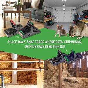 JT Eaton 410, 1 Pack Rat Trap, 3-1/2 in. L, 5-7/8 in. W, Black