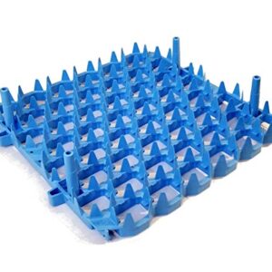 Universal Chicken Egg Trays (6 pack)