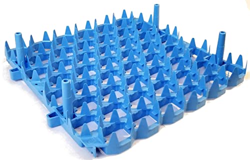 Universal Chicken Egg Trays (6 pack)