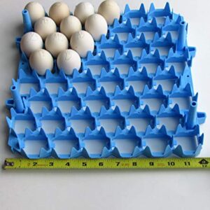 Universal Chicken Egg Trays (6 pack)
