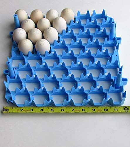 Universal Chicken Egg Trays (6 pack)