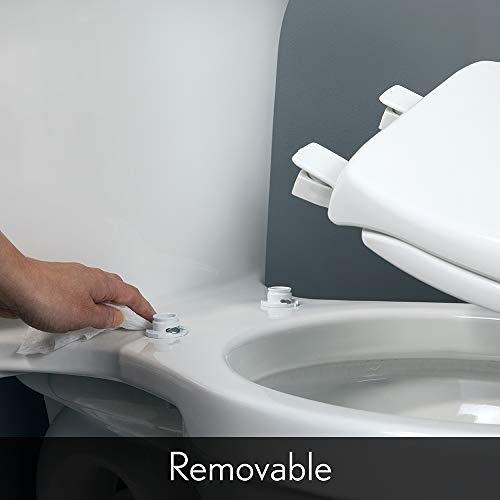 Bemis 1200SLOWT 047 Toilet Seat will Slow Close, Never Loosen and Easily Remove, ELONGATED, Plastic, Black