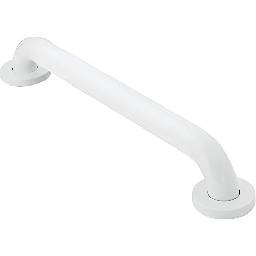 Moen R8716W Home Care 16-Inch Concealed Screw Bath Safety Bathroom Grab Bar, Glacier