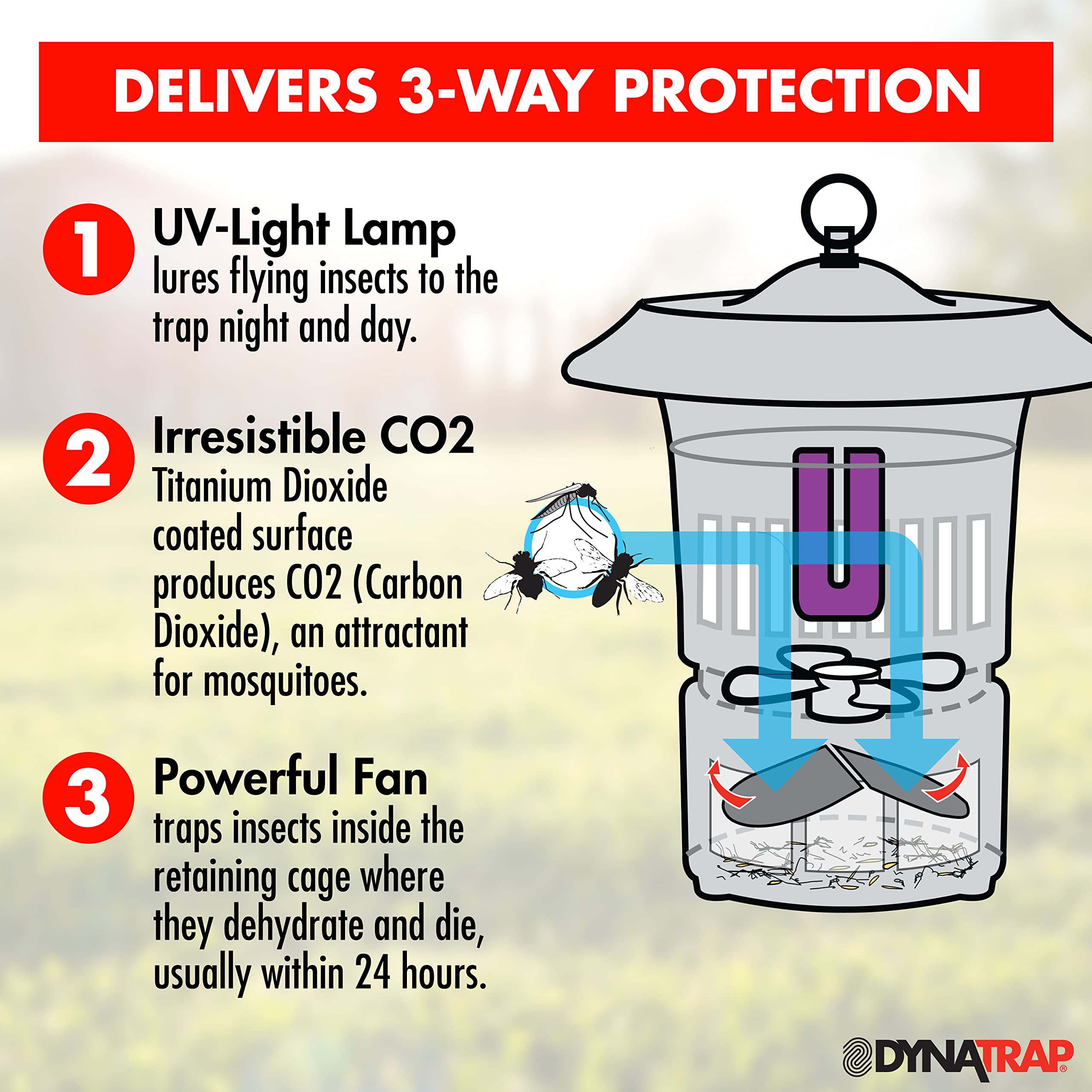 DynaTrap DT1100SR Mosquito & Flying Insect Trap with Wall Mount – Kills Mosquitoes, Flies, Wasps, Gnats, & Other Flying Insects – Protects up to 1/2 Acre