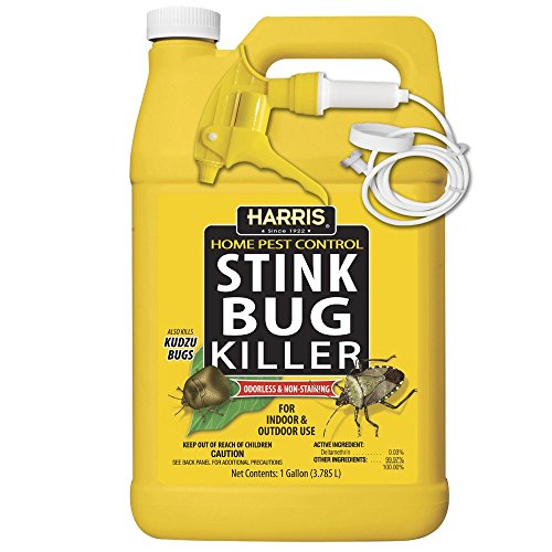 Harris Stink Bug Killer, Liquid Spray with Odorless and Non-Staining Extended Residual Kill Formula (Gallon)