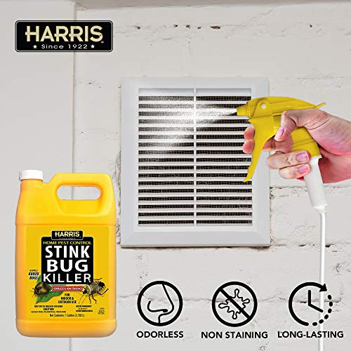 Harris Stink Bug Killer, Liquid Spray with Odorless and Non-Staining Extended Residual Kill Formula (Gallon)