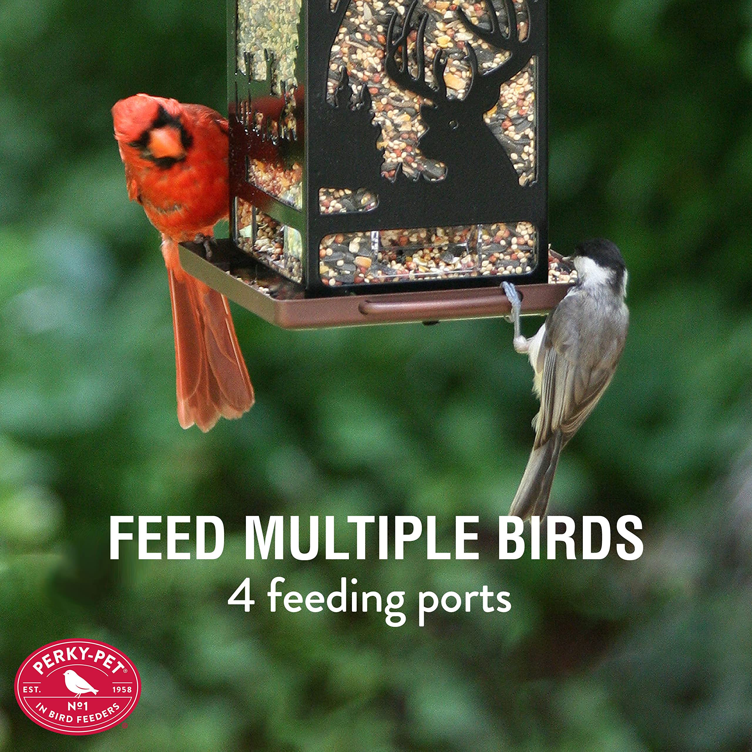 Perky-Pet 8504-1SR Wilderness Lantern Style Bird Feeder - 2 lb Seed Capacity