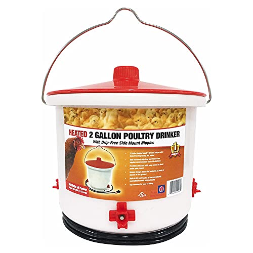 Farm Innovators HB-60P Heated 2 Gallon Poultry Drinker