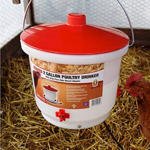 Farm Innovators HB-60P Heated 2 Gallon Poultry Drinker