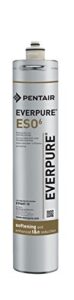 everpure ev9607-10 eso 6 cartridge